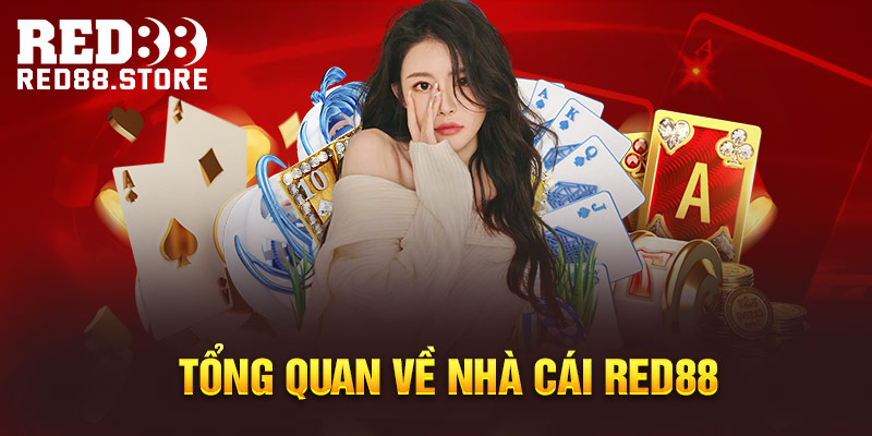 Sum99 là một công ty game đáng tin cậy; sau đây là tổng quan về công ty này - Sum99