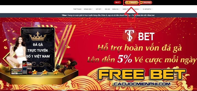 Sảnh chờ cấp độ Typhu88 là một kịch bản mô phỏng chất lượng cao - Typhu88