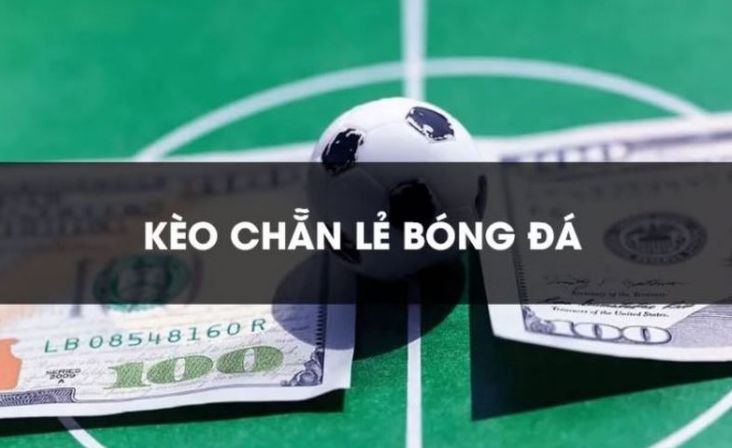 Hướng dẫn đăng nhập nhanh vào Sb365 bằng điện thoại di động - Sb365