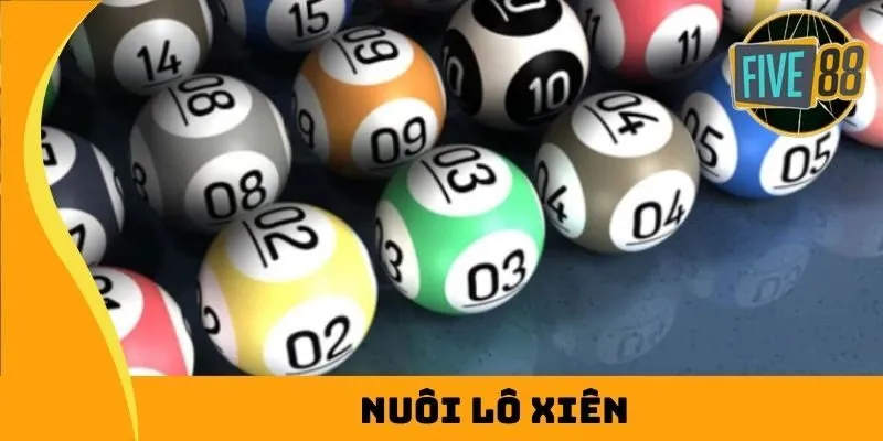 Liên kết đến trang web trực tuyến được xếp hạng Oxbet đã được cập nhật và không còn bị chặn nữa - Oxbet