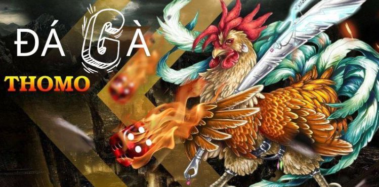 Giải nhất: Betvisa – Tổ chức trực tuyến đáng tin cậy nhất - Betvisa