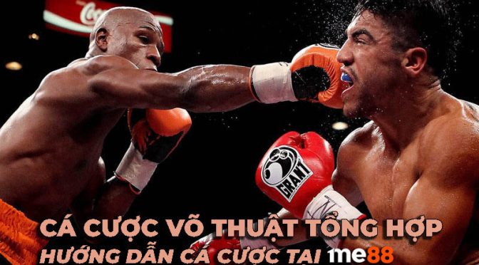 Công viên giải trí đạt chuẩn Tf88 này tự hào có nhiều trò chơi thú vị và hồi hộp - Tf88