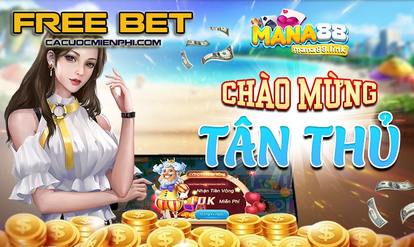 Kiểm tra tình trạng tín dụng của Letou - Letou
