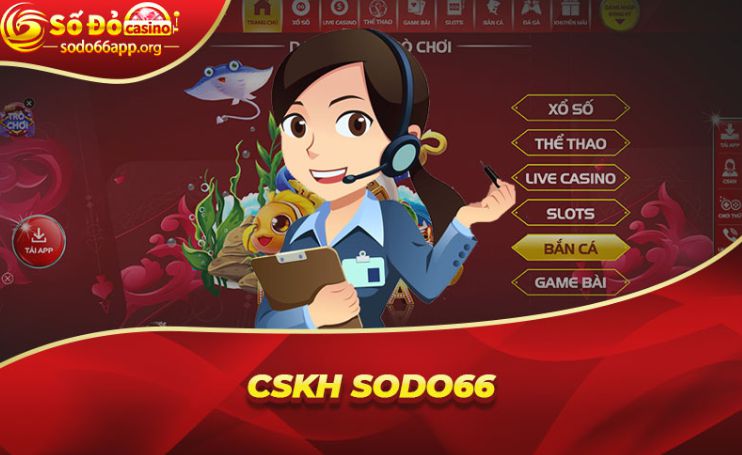 Ok33 và nền tảng của tôi - Ok33