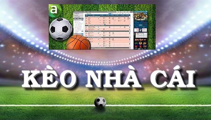 Bên cạnh 789F, còn có các nền tảng chơi game trực tuyến uy tín khác - 789F
