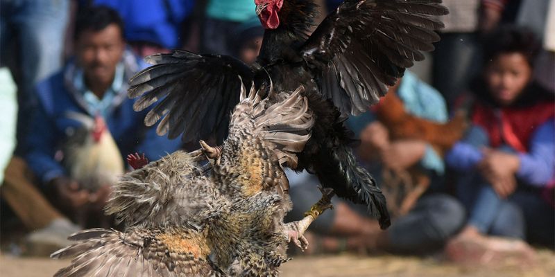 Những tựa game đỉnh cao, hấp dẫn, giá cả phải chăng! - Okking