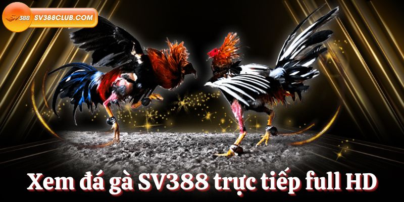 Các sòng bạc trực tuyến được xếp hạng 789F cung cấp nhiều trò chơi hiện đại đa dạng - 789F