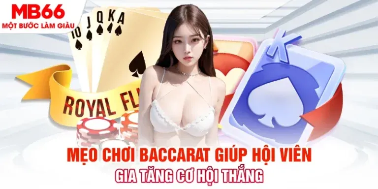 Tìm hiểu thêm về K8 và thông tin liên hệ - K8