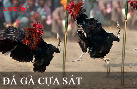 Khách sạn này được xếp hạng 9Dbet nhờ những ưu điểm độc đáo của mình - 9Dbet