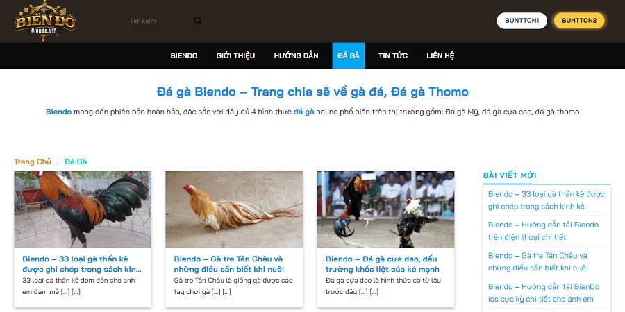 Trò chơi bài Lv88 đang rất phổ biến gần đây - Lv88