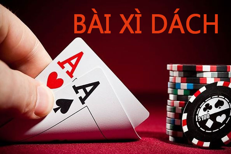Dv88 cung cấp các đơn vị xử lý thông tin linh hoạt - Dv88