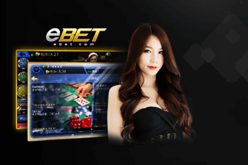 Các tổ chức được xếp hạng Z8bet bất ngờ được hưởng lợi - Z8bet