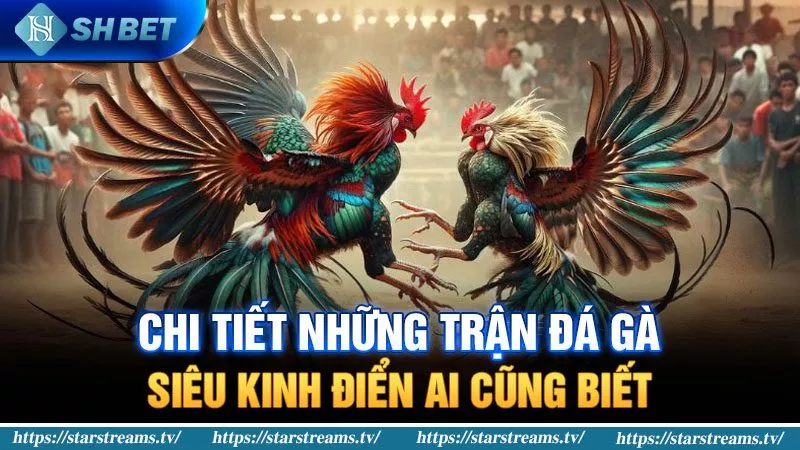 Trang web game Lucky88 có uy tín không? Có phải là một trang lừa đảo không? - Lucky88